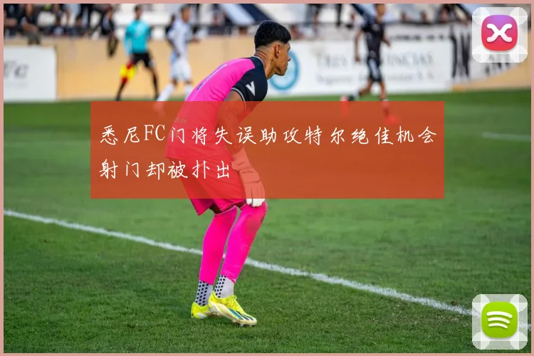 悉尼FC门将失误助攻特尔绝佳机会射门却被扑出